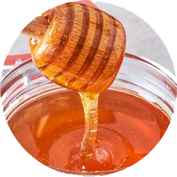 Honey-banar-super-pansar-4